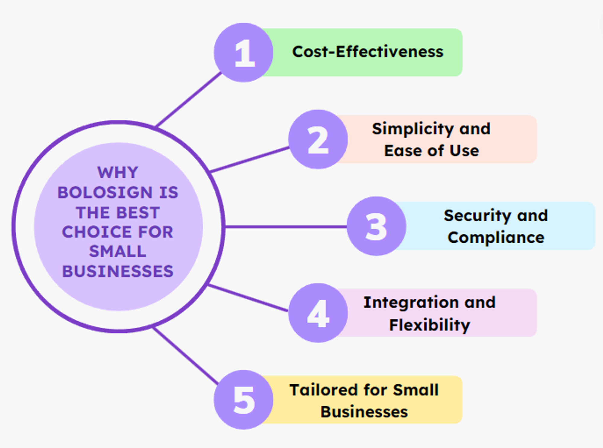 Infographic explaining why BoloSign is ideal for small businesses, highlighting key features like cost-effectiveness and tailored services.